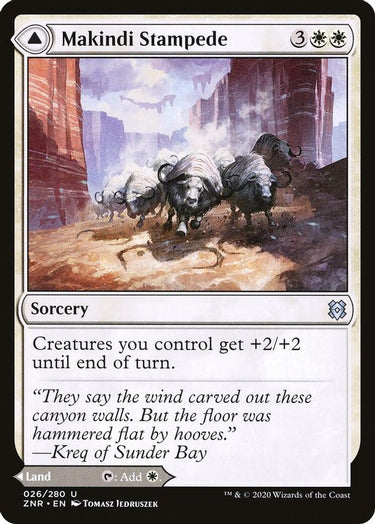 Makindi Stampede | 26
